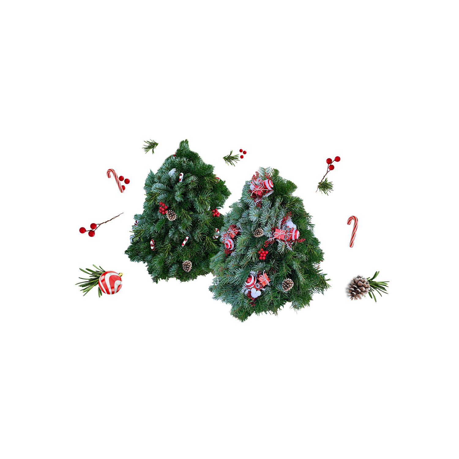 Fresh Holiday Top Table Trees