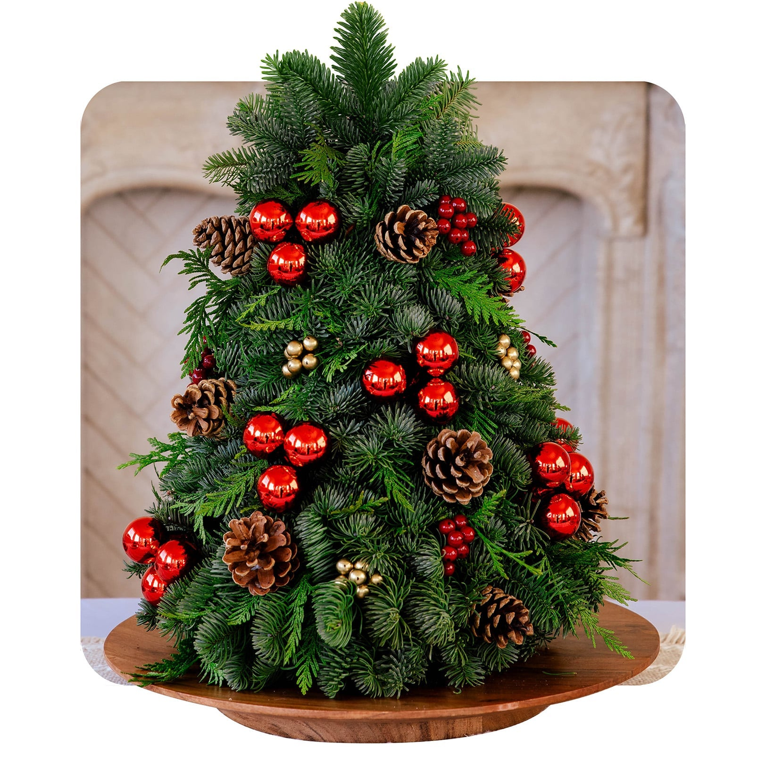 Fresh Christmas Tabletop Trees