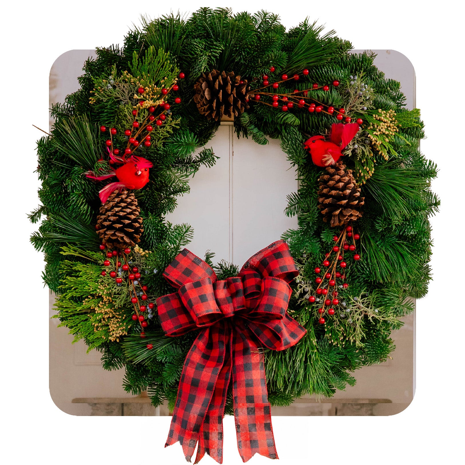 Fresh Christmas Wreaths