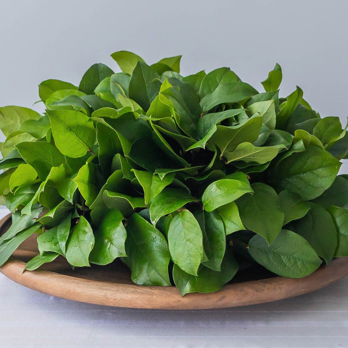 Salal Classic Centerpiece