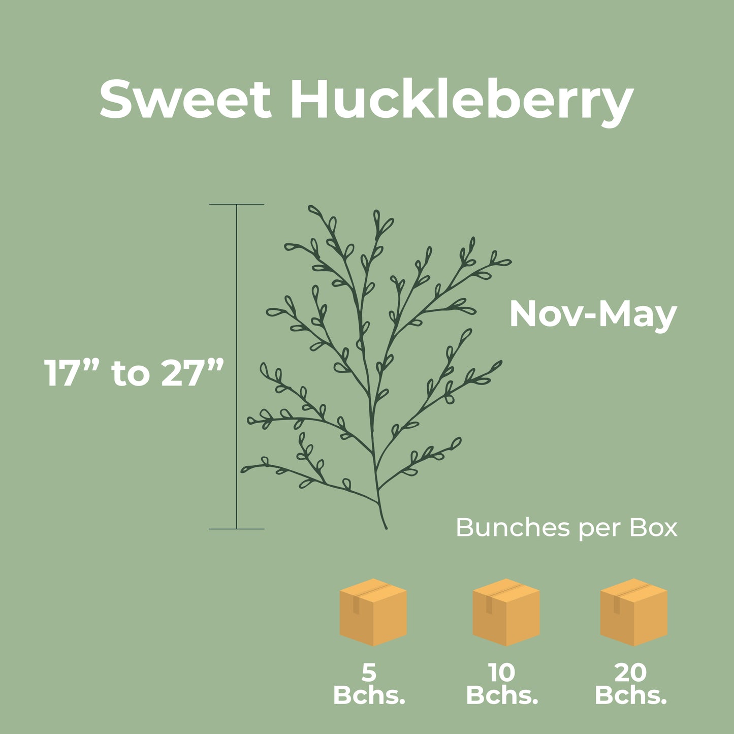Sweet Huckleberry