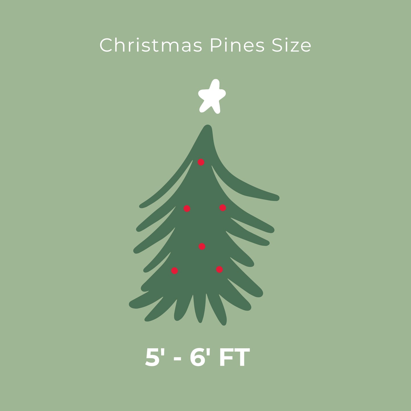 Noble Fir Chirstmas Tree