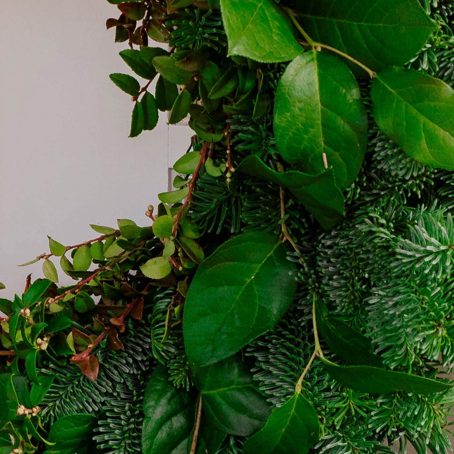Majestic Wreath