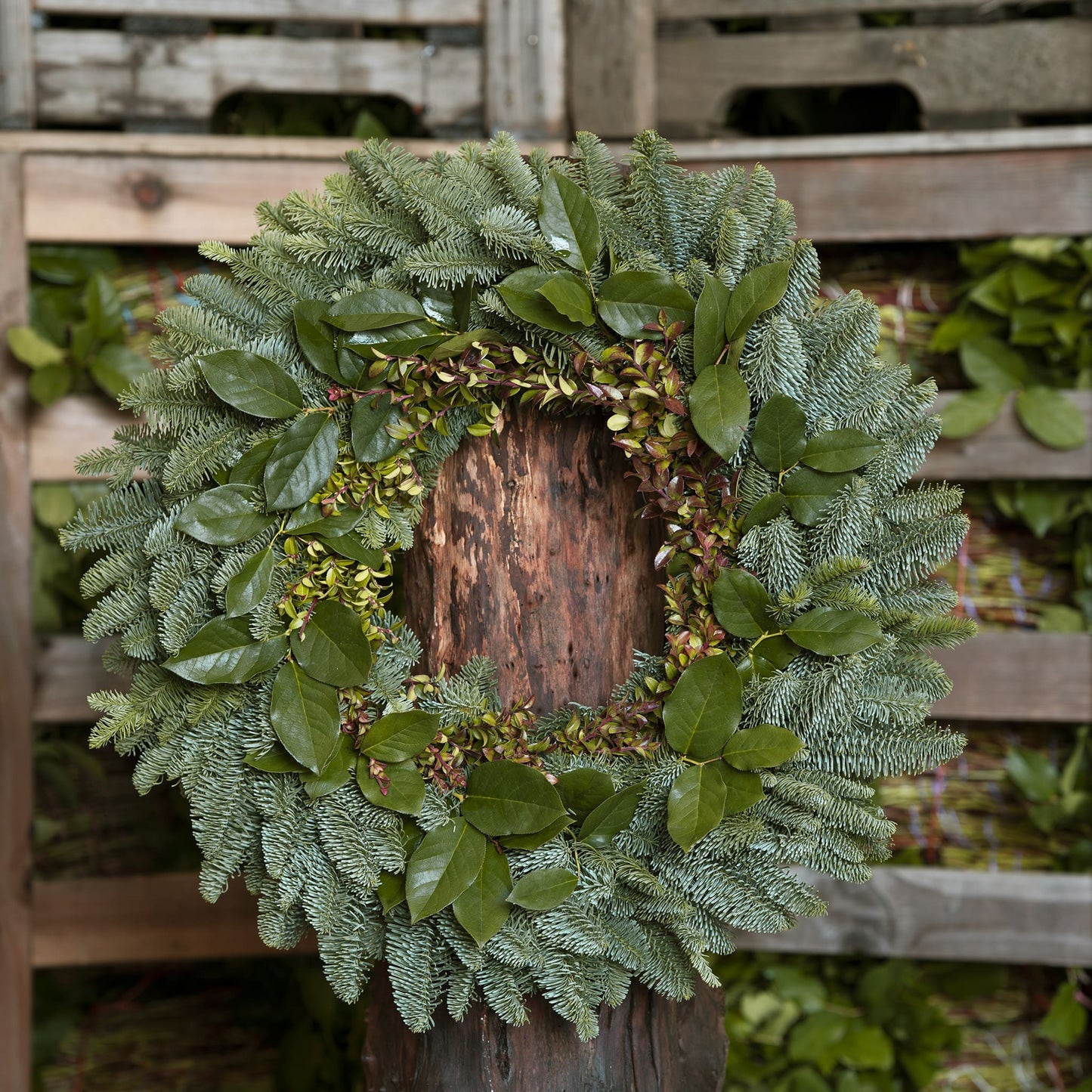 Majestic Wreath