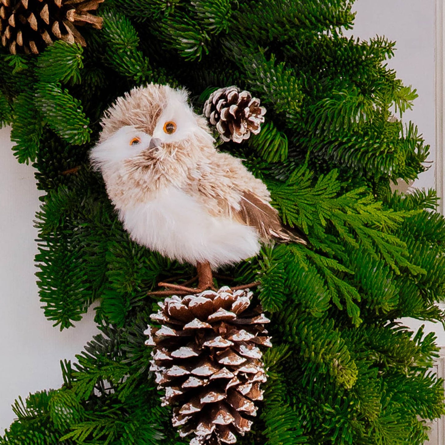 Owl Wreath