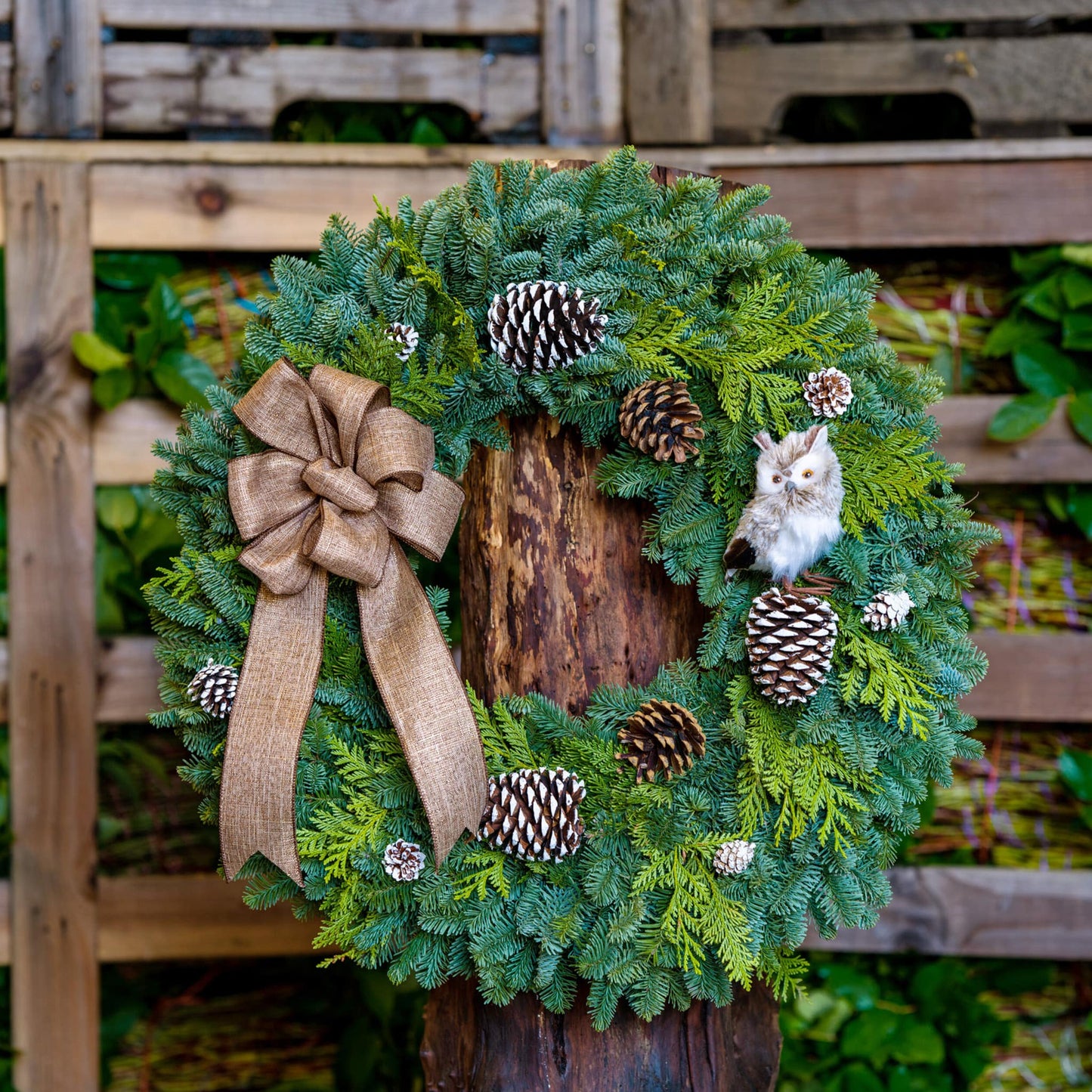 Owl Wreath