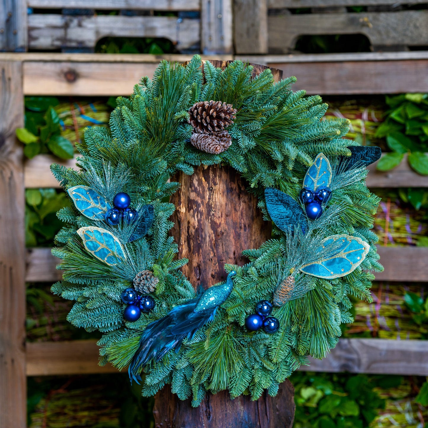 The Peacock Wreath