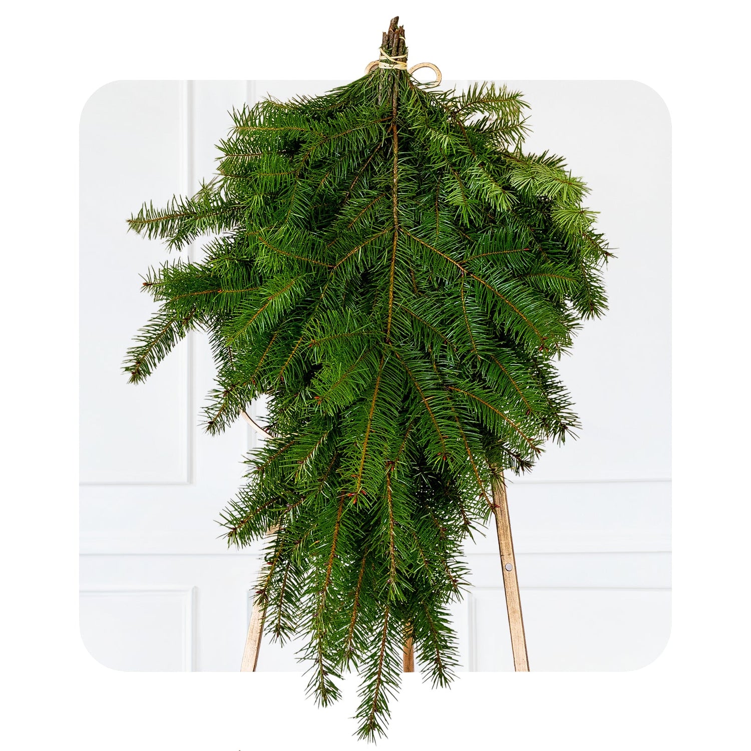 Premium DIY Holiday Greensv