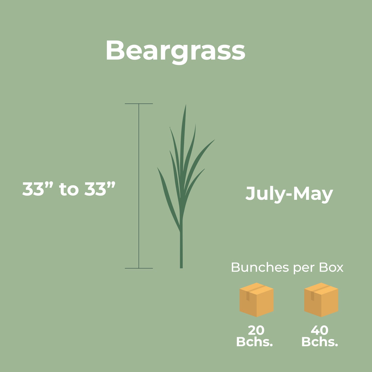 Beargrass