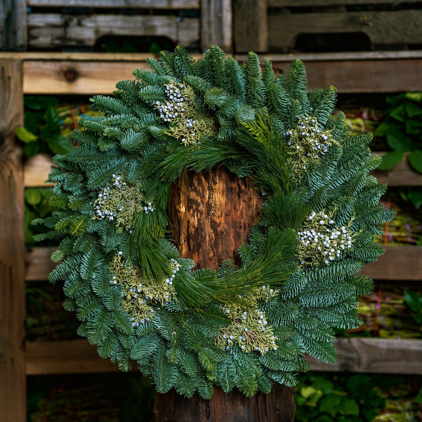 Blue Jay Wreath