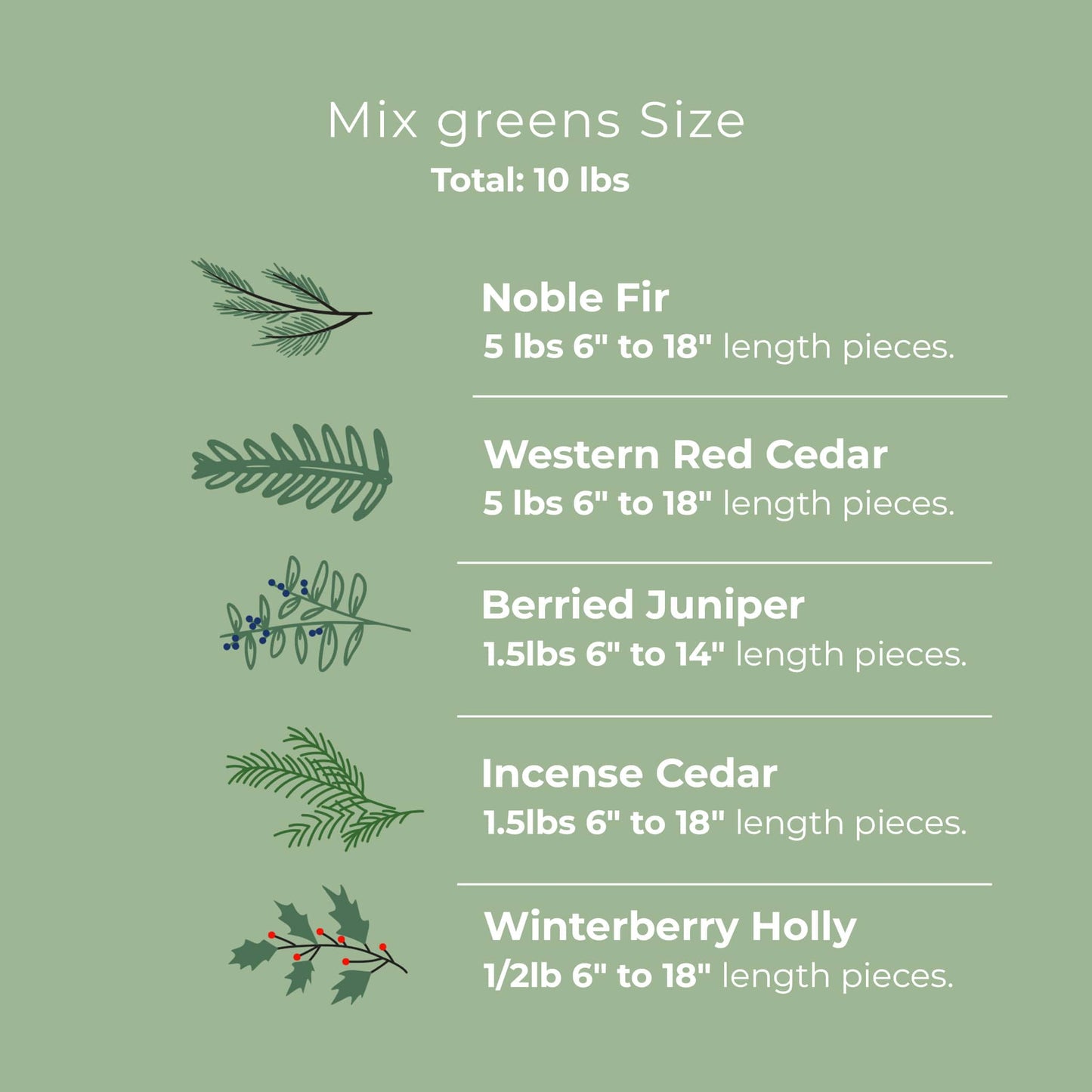 Mix Christmas Greens
