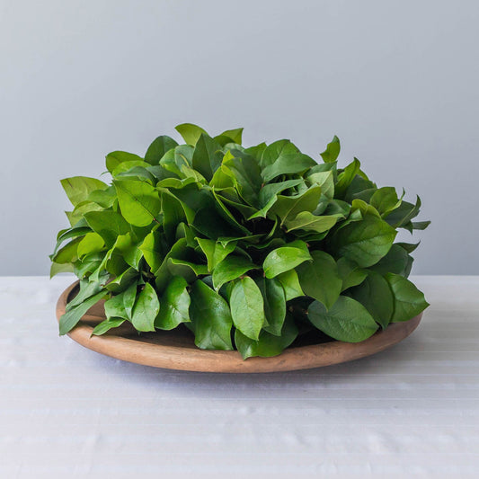Salal Classic Centerpiece