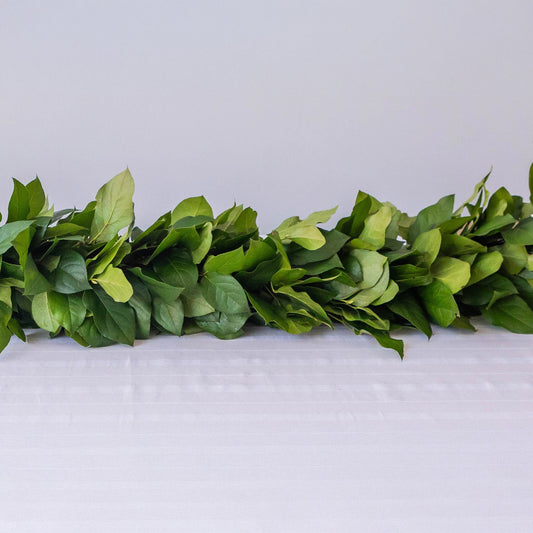 Salal Classic Garland
