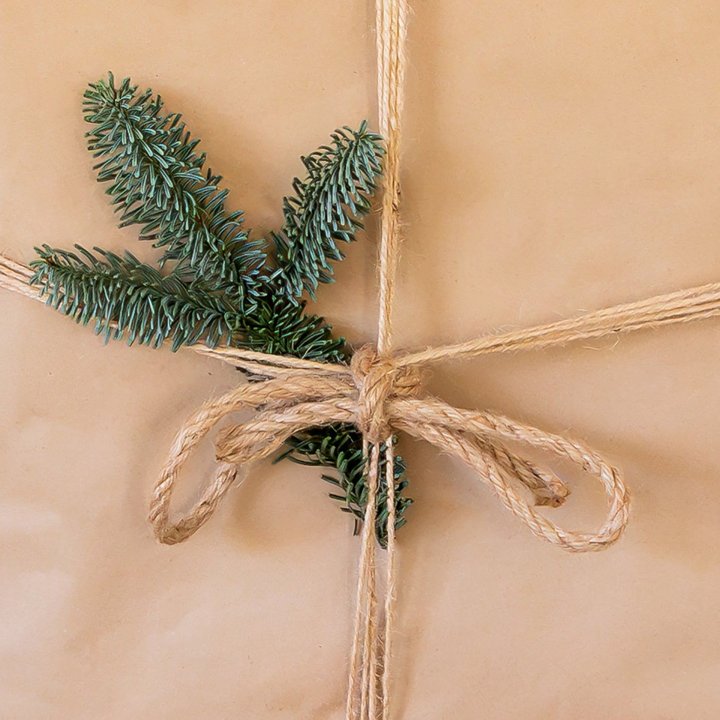 Noble Fir
