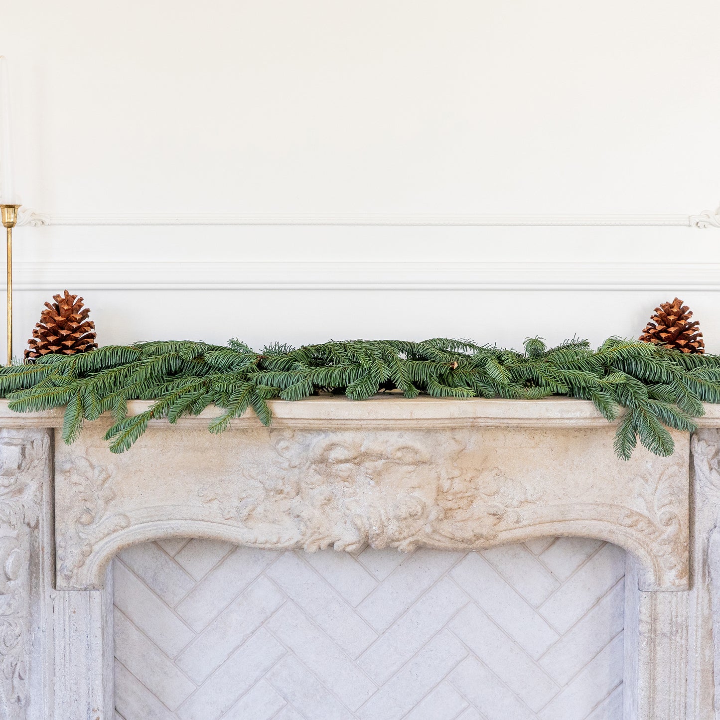 Noble Fir