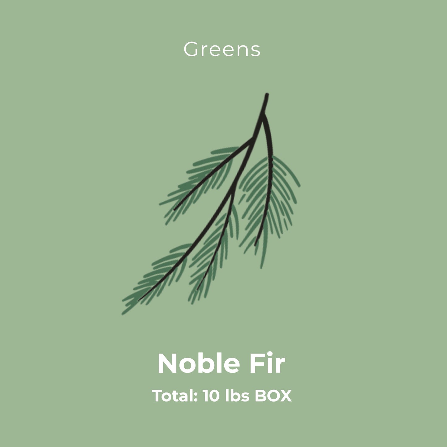 Noble Fir