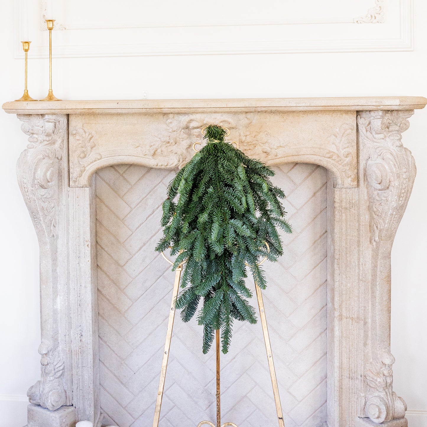 Noble Fir
