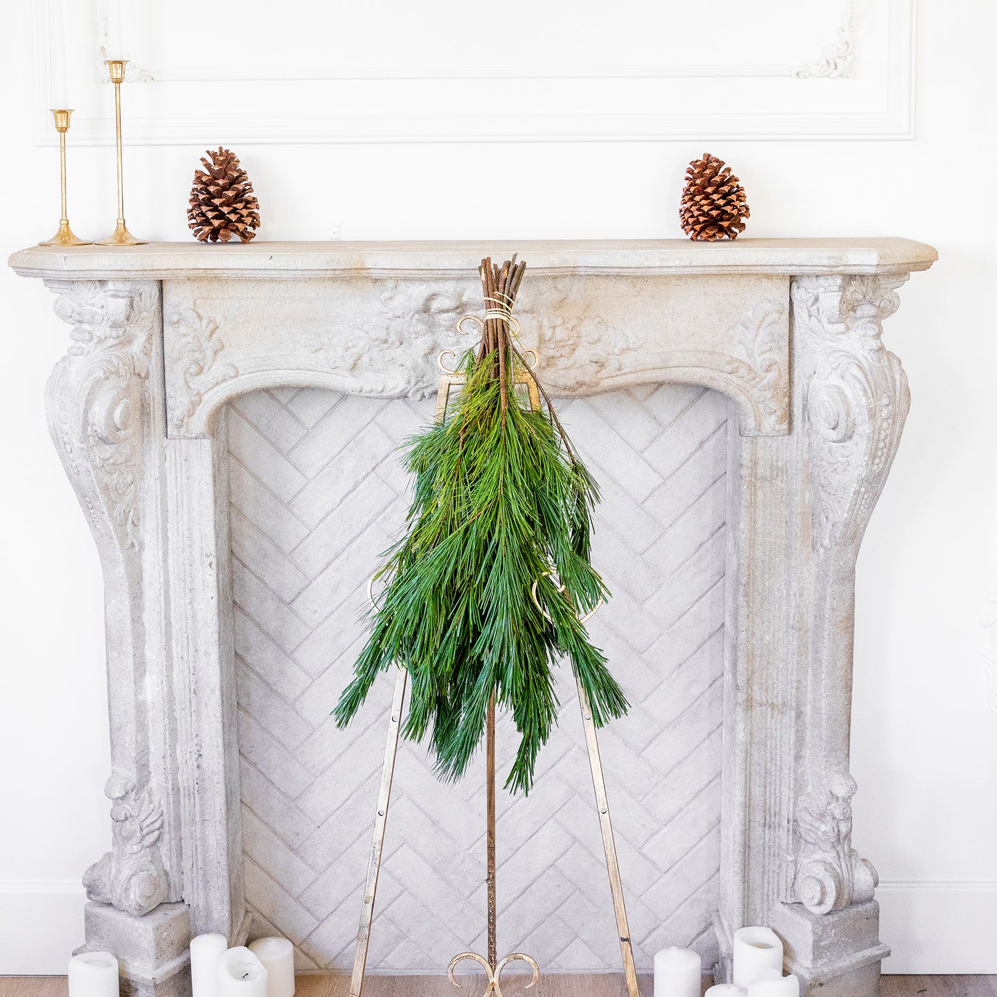 Princess Pine