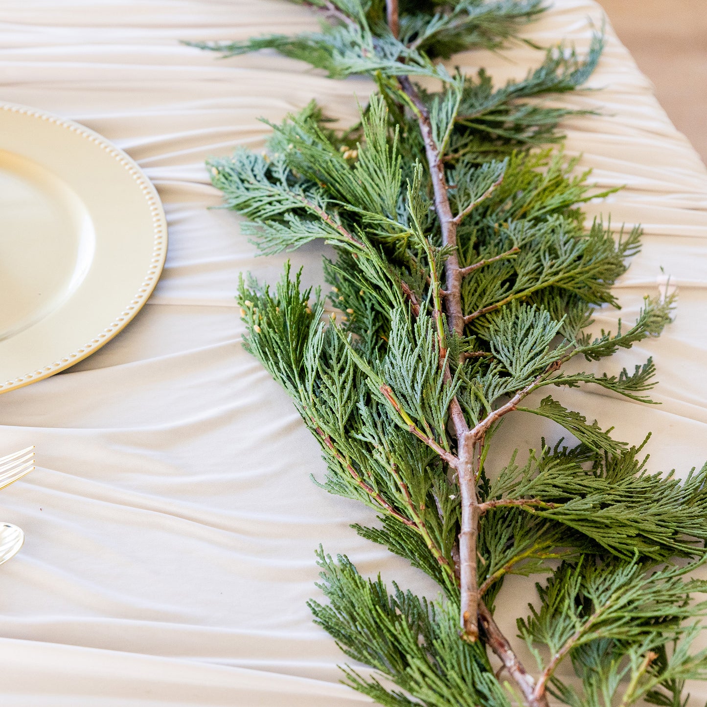 Incense Cedar