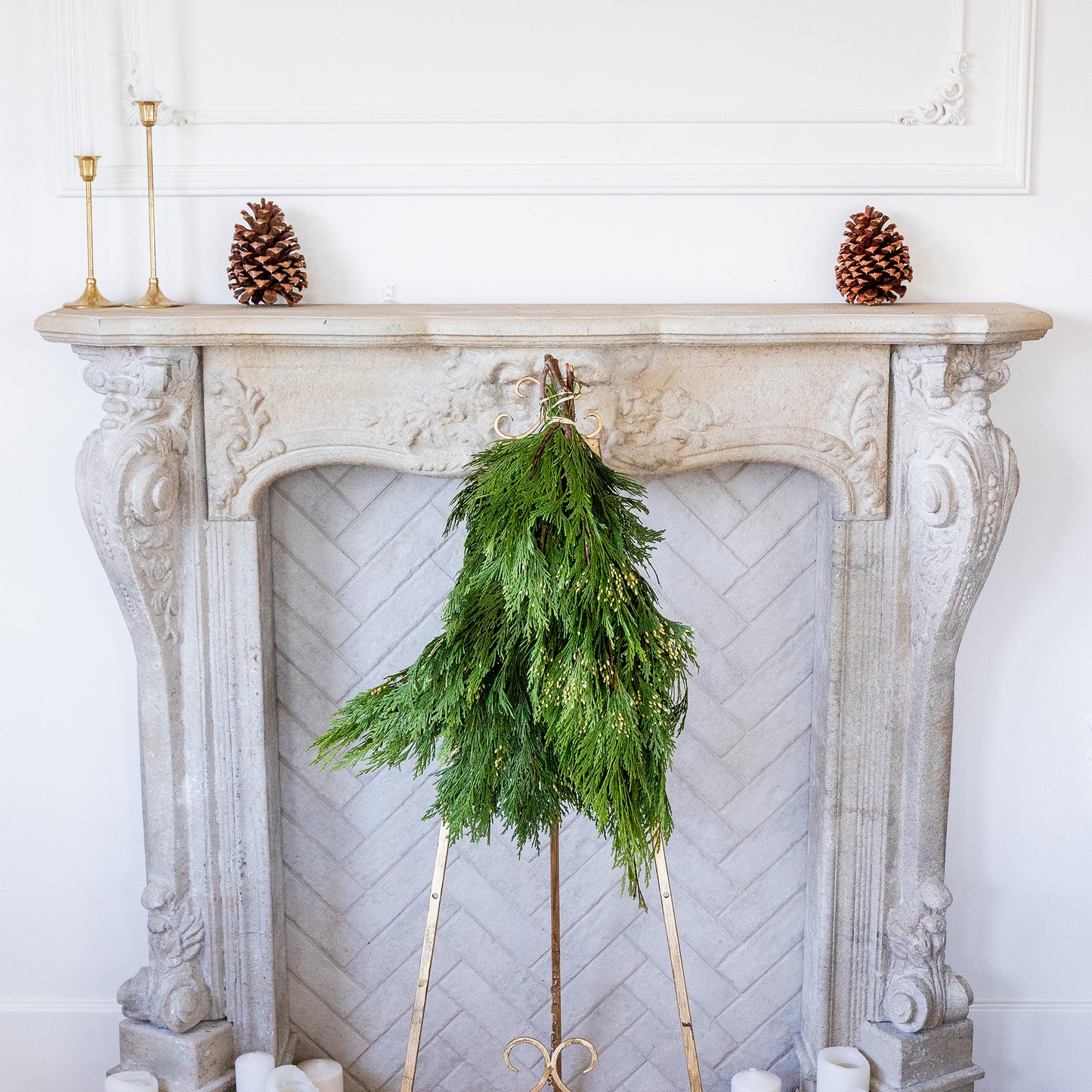 Incense Cedar