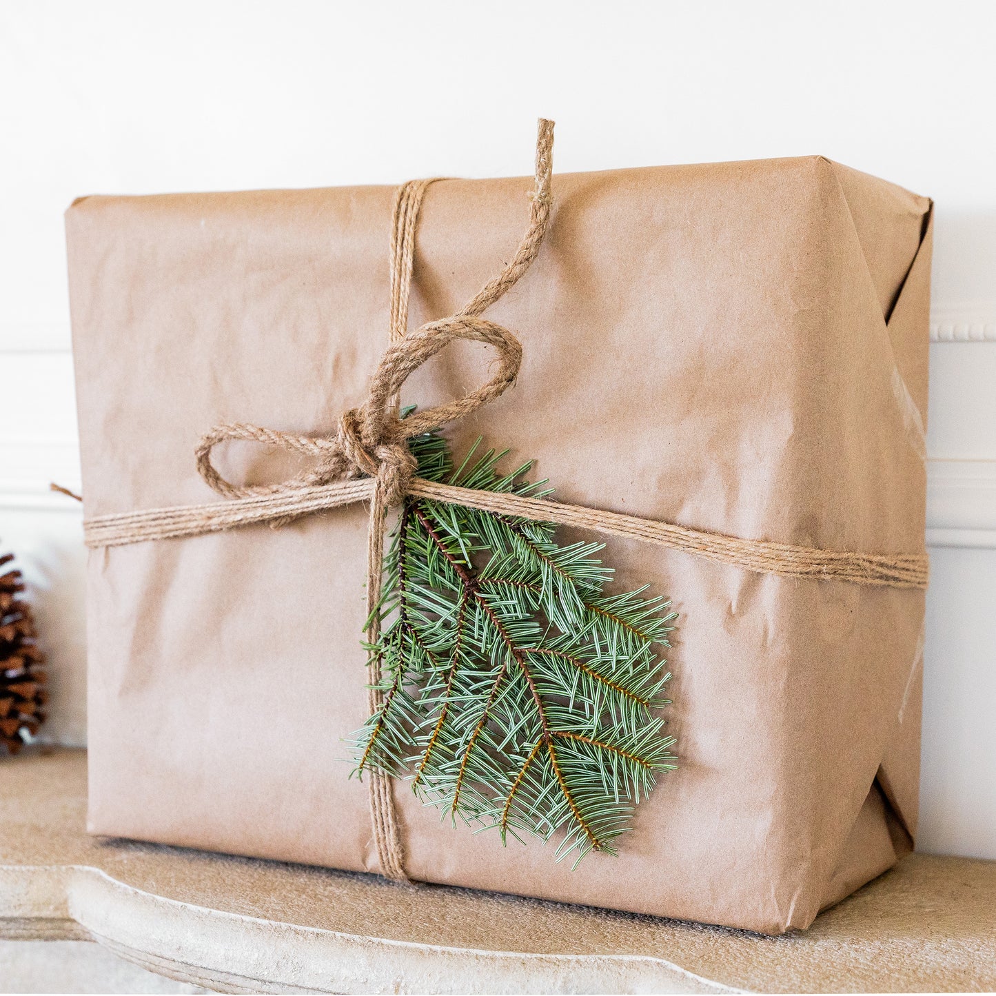 Nordmann Fir / Silver