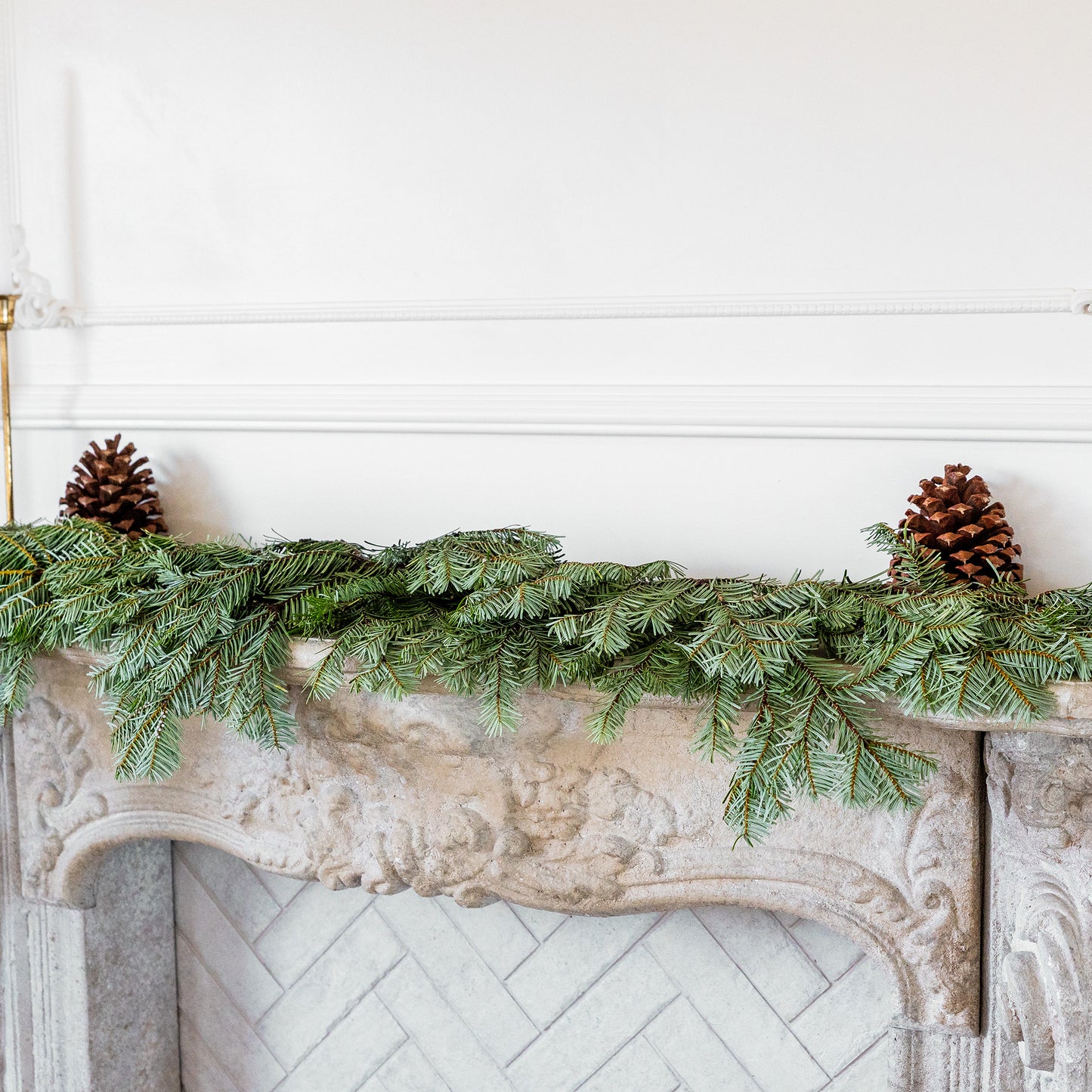 Nordmann Fir / Silver