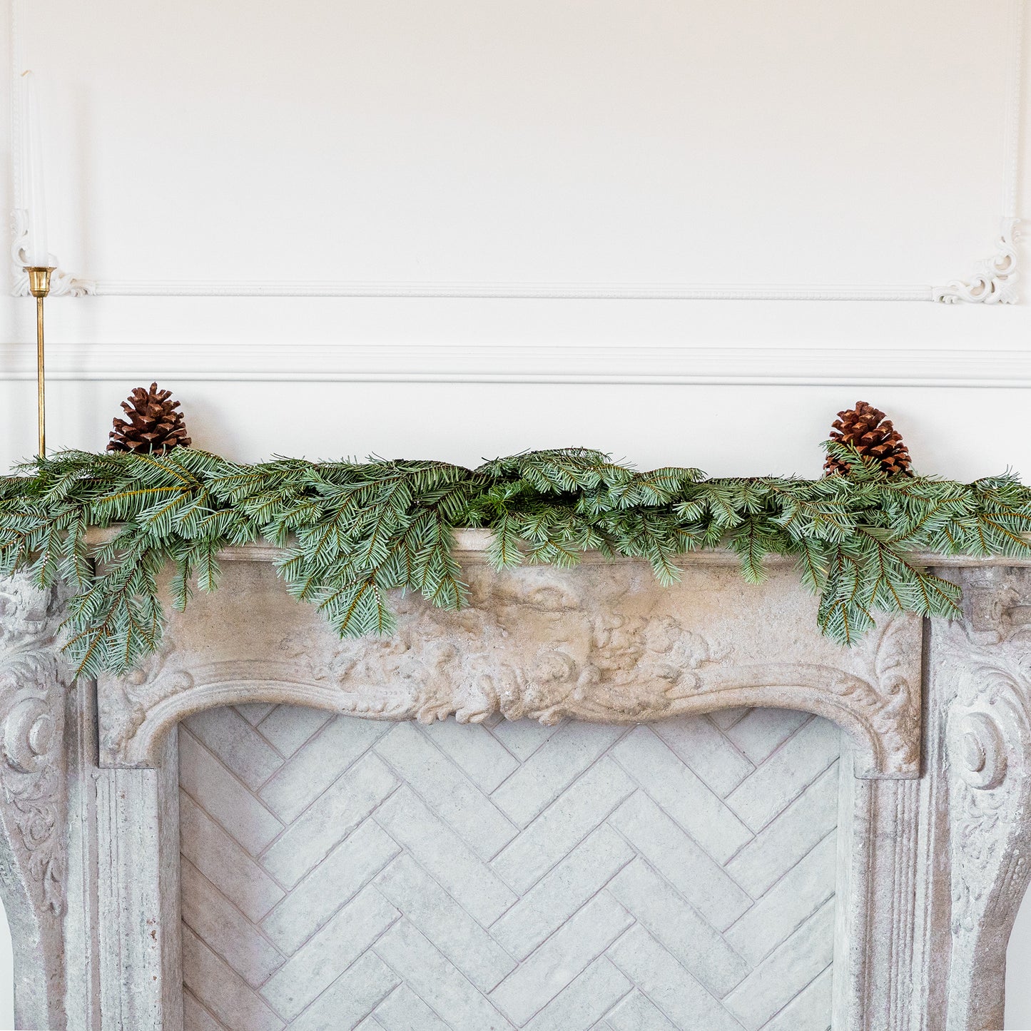 Nordmann Fir / Silver