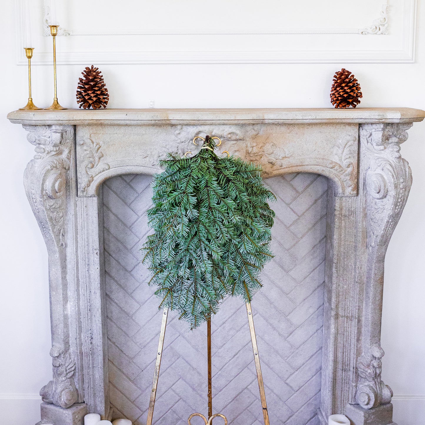 Nordmann Fir / Silver