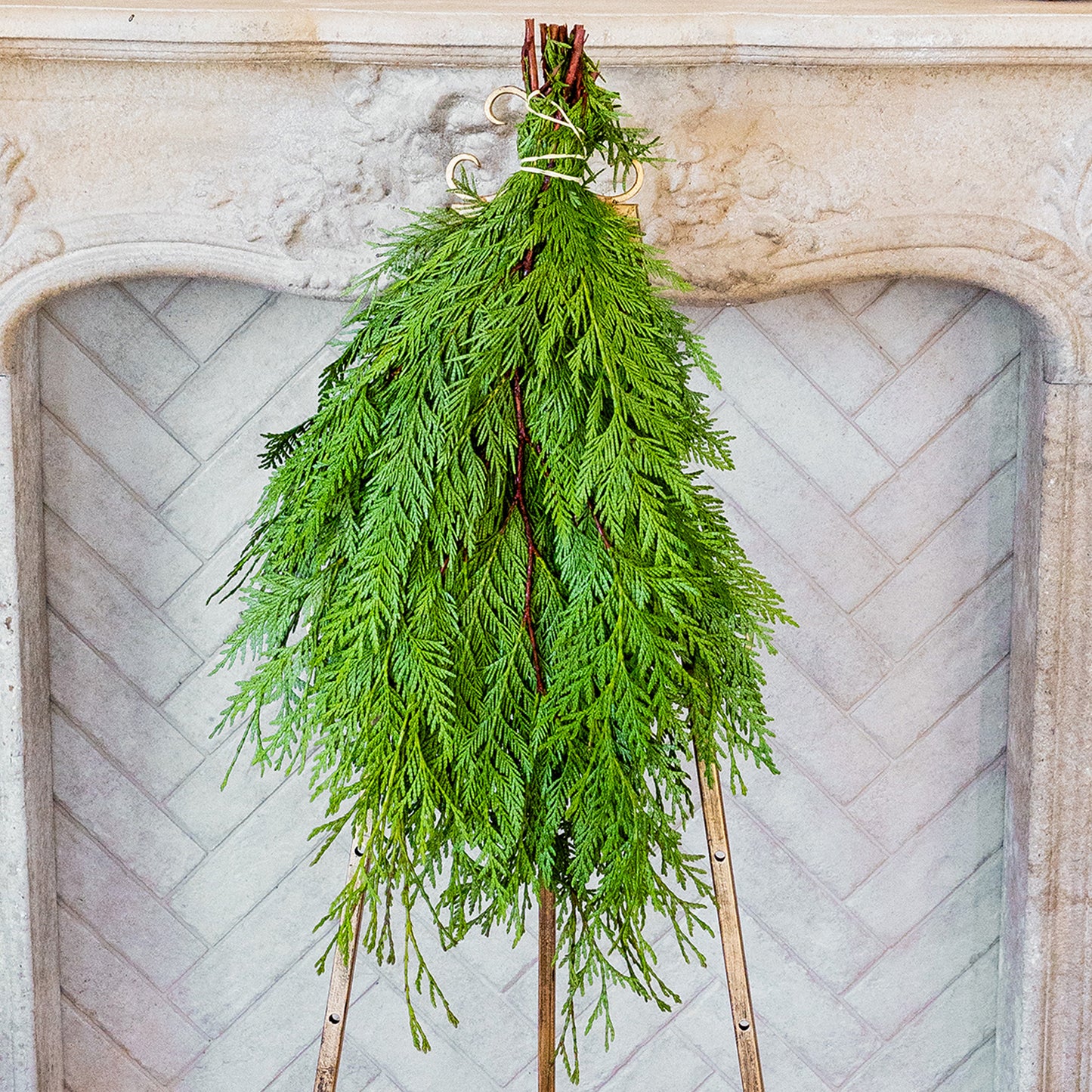 Western RedCedar