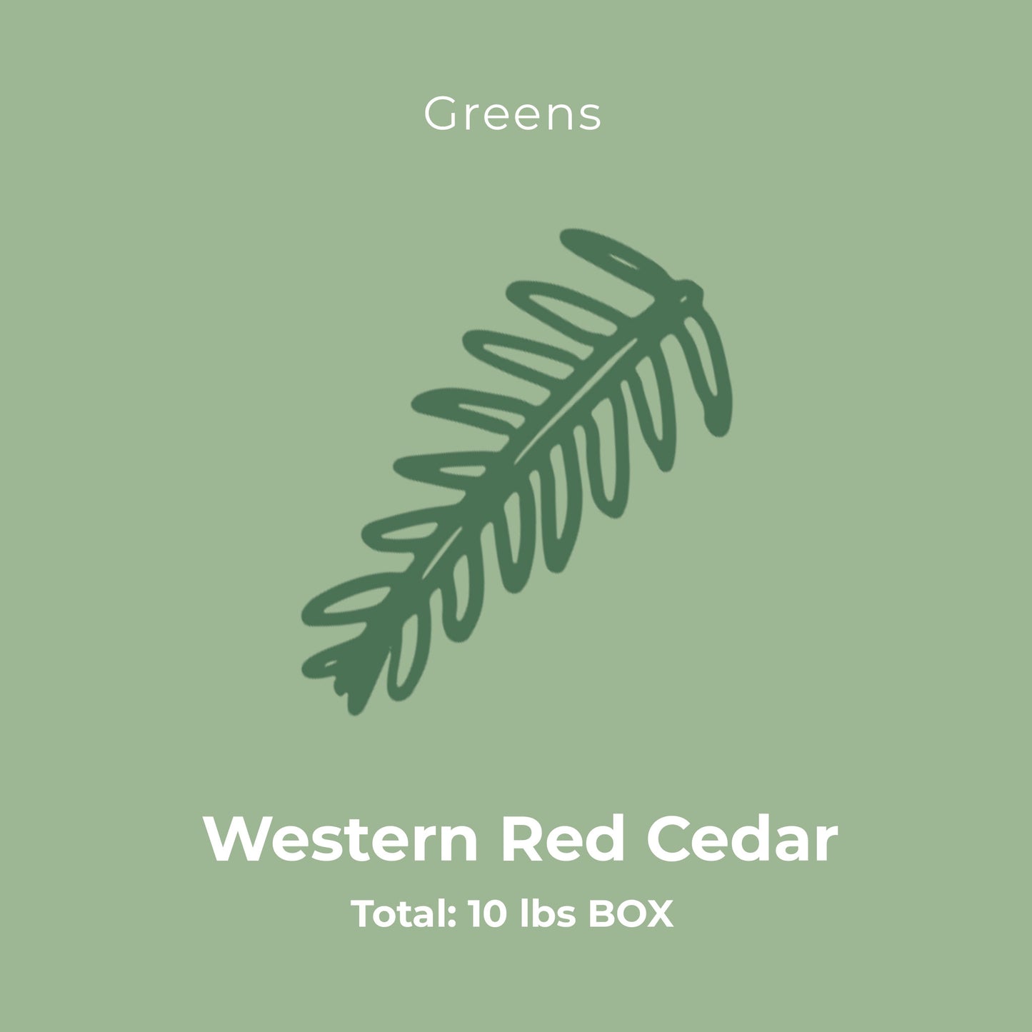 Western RedCedar