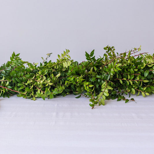 Single Green Huckleberry Garland