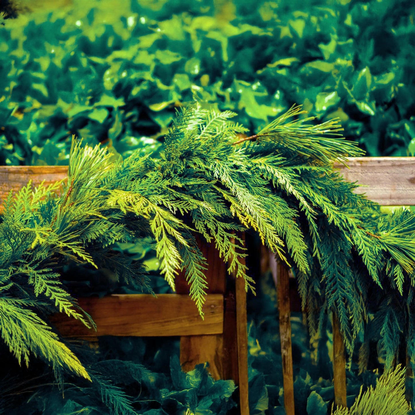 Forest Favorite Garland