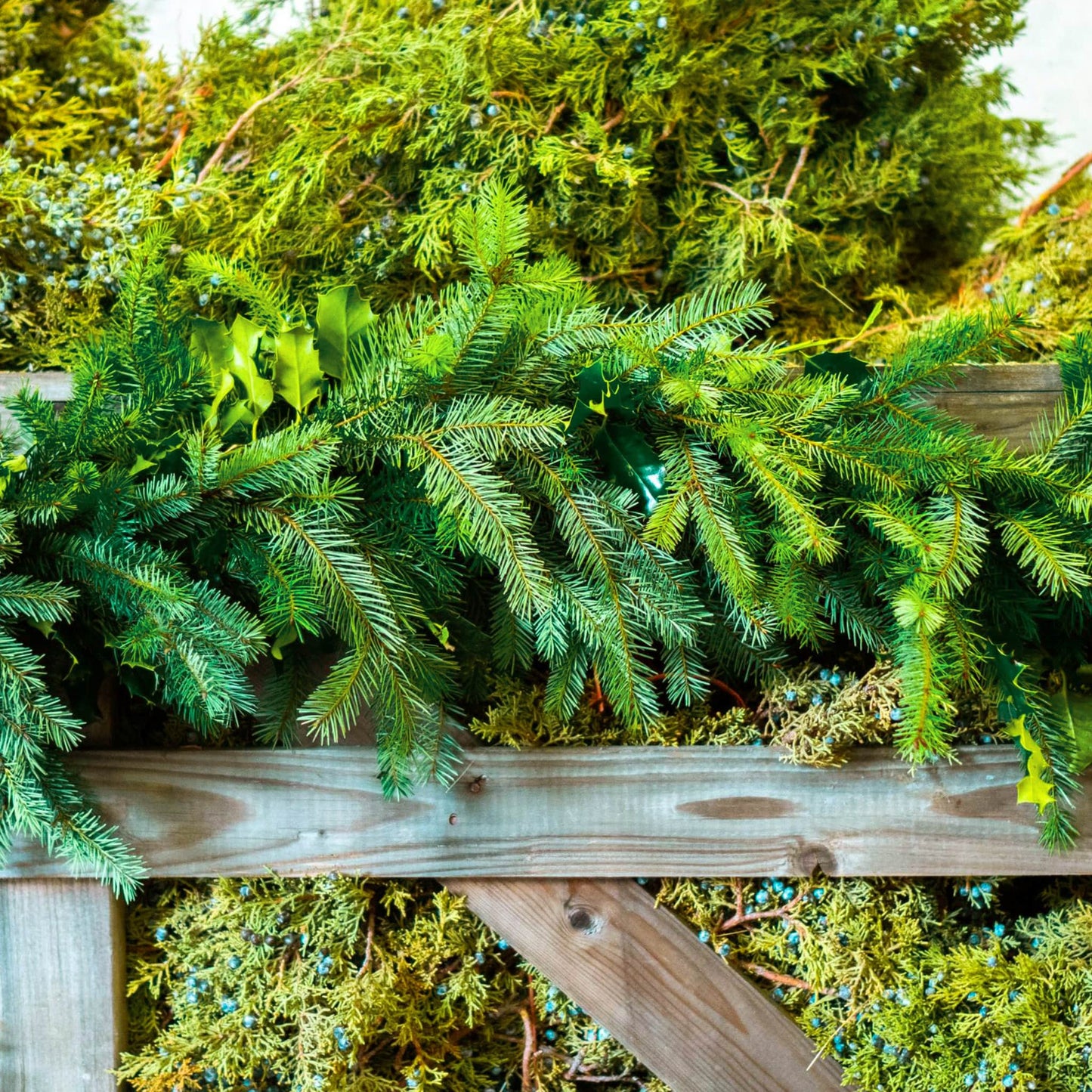 Douglas Fir Garland