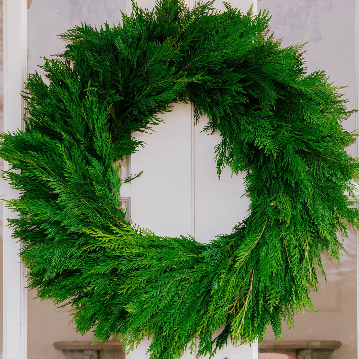 Essential Cedar Wreath