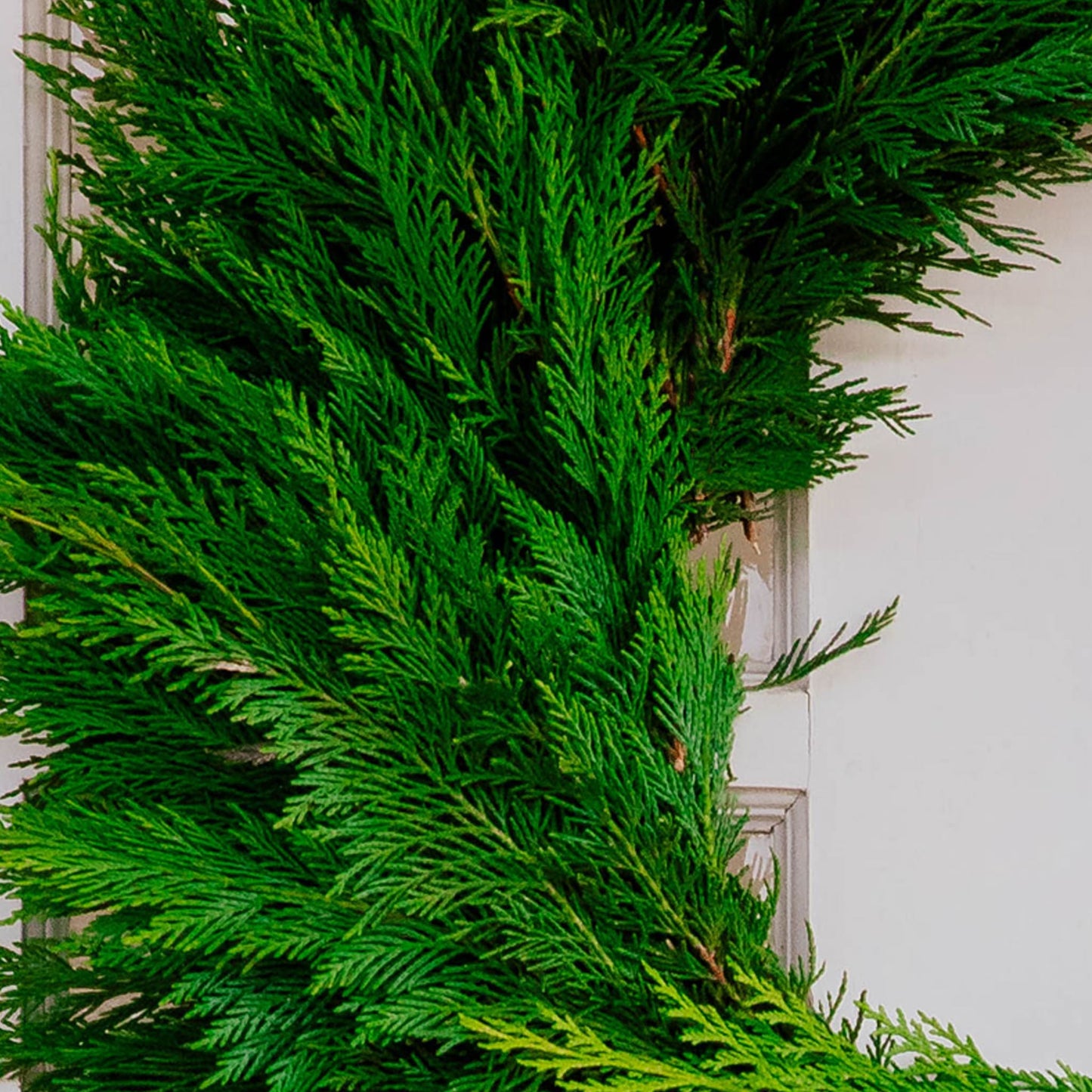 Essential Cedar Wreath