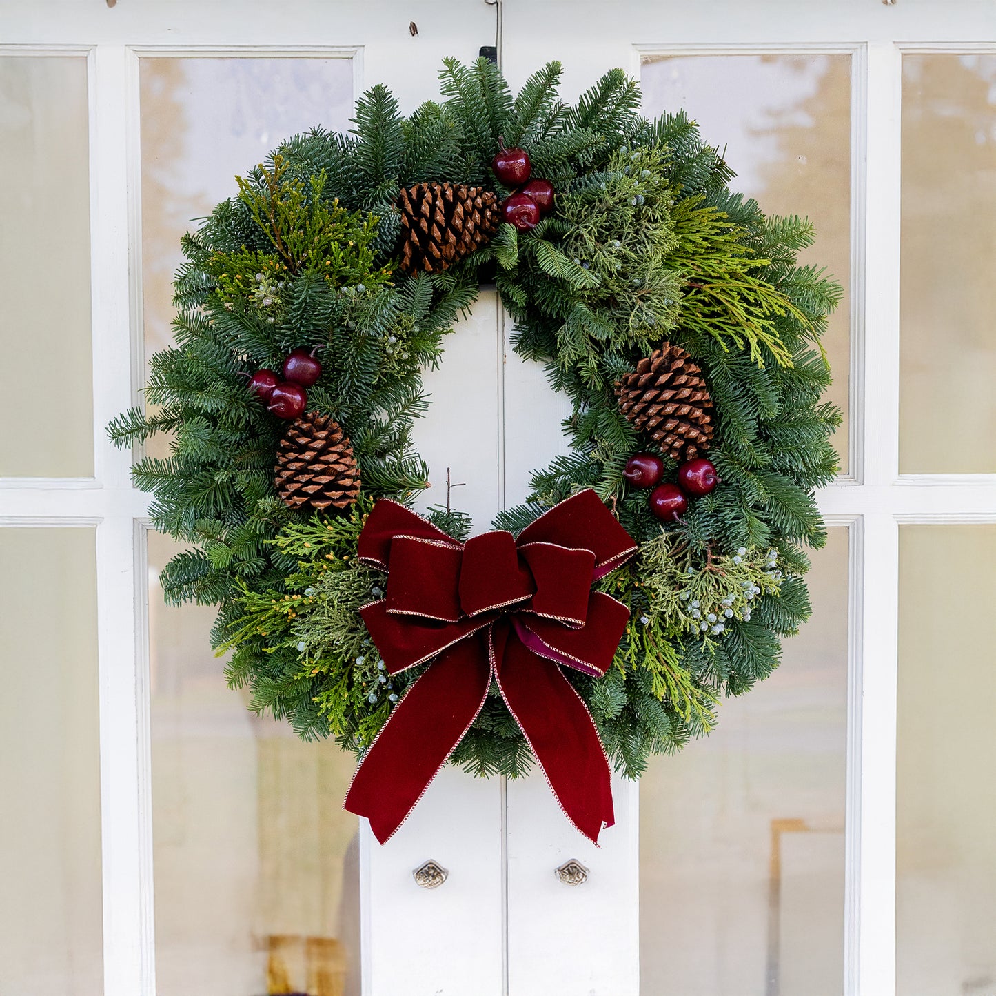 Christmas Orchard