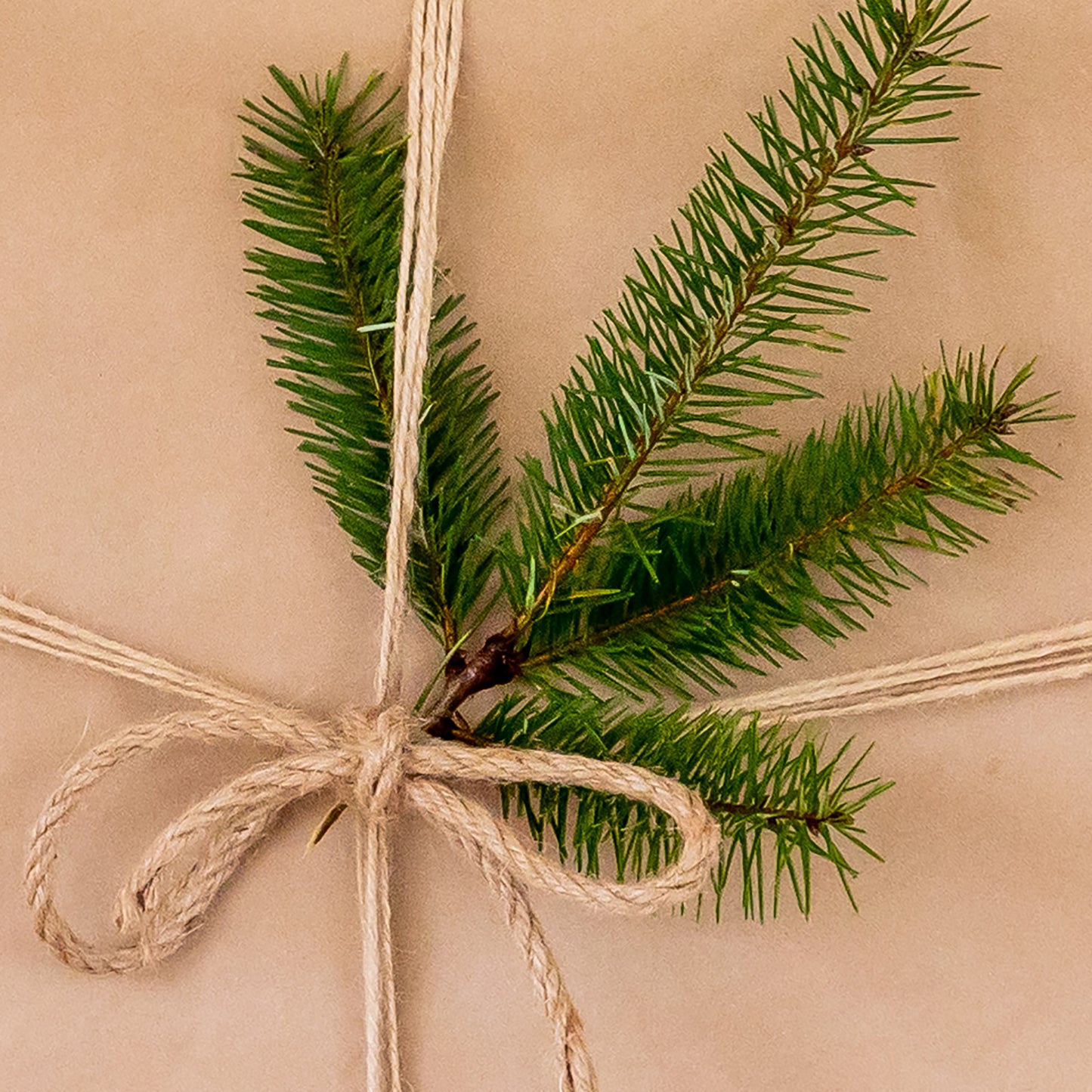 Douglas Fir