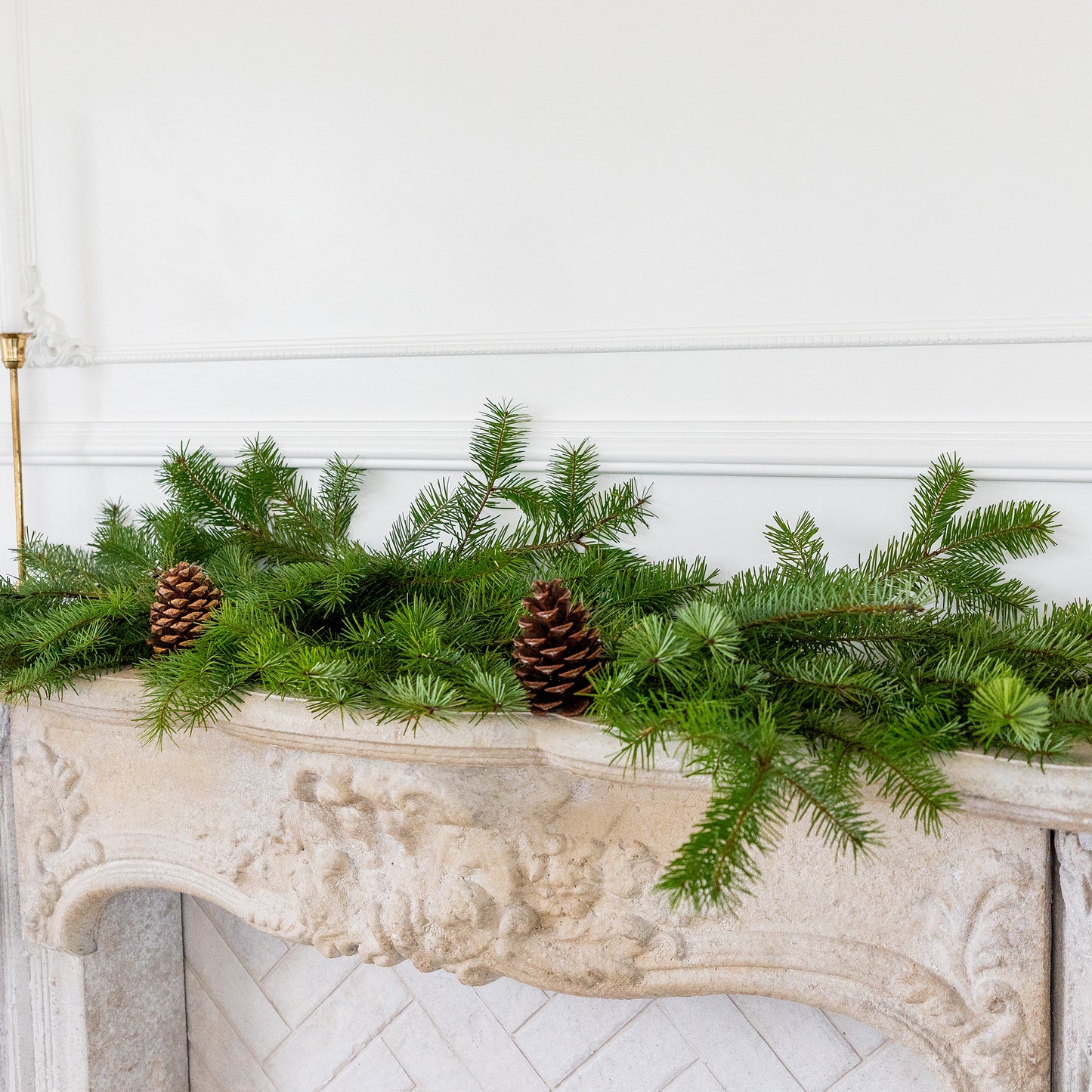 Douglas Fir