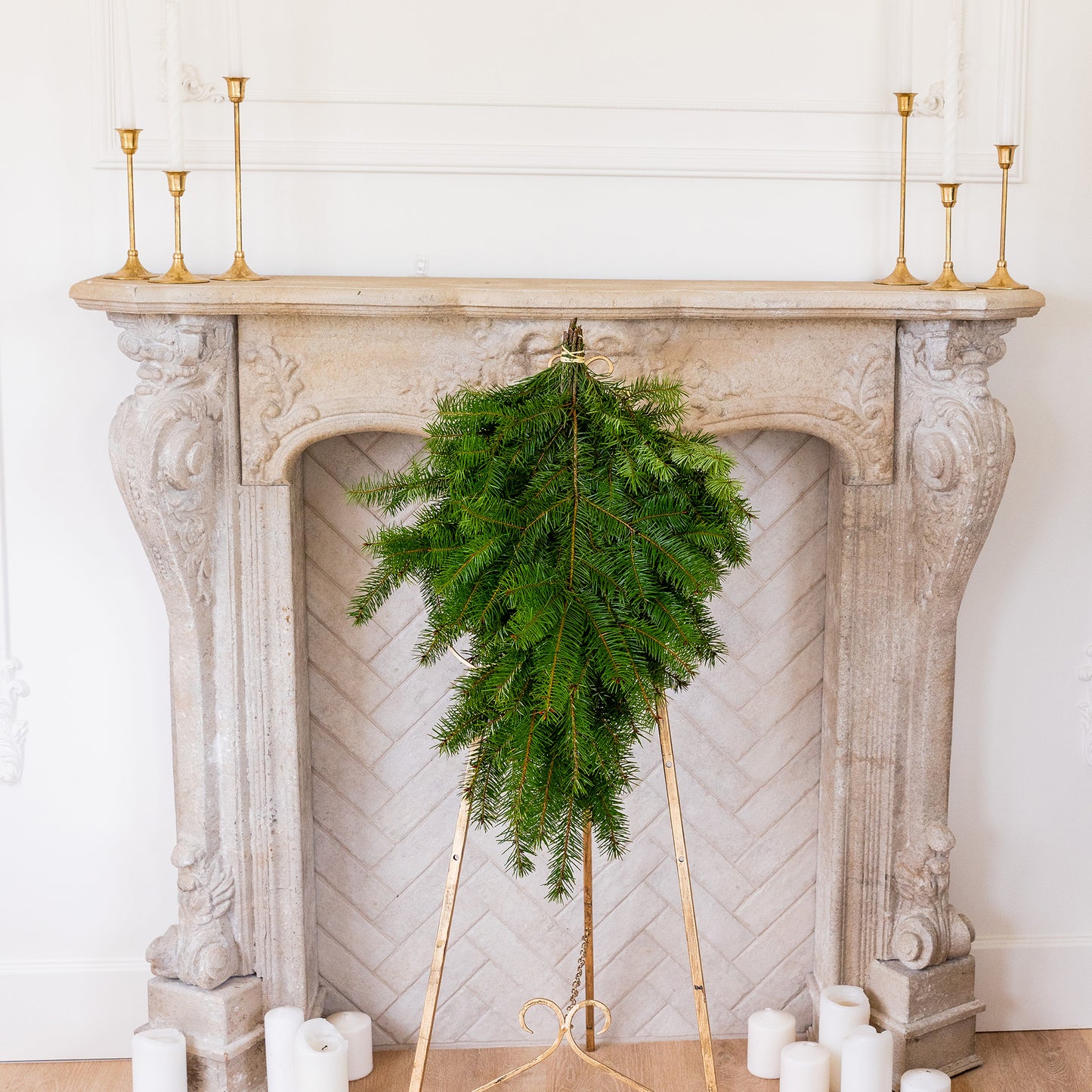 Douglas Fir