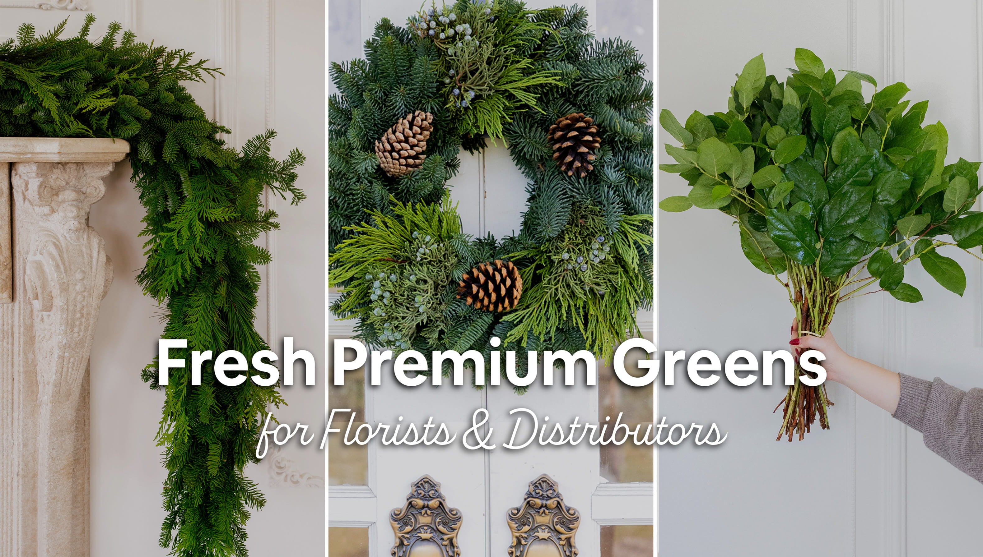 Load video: Fresh premium greens wholesale for florists and distributors including garlands wreaths and foliage bundles