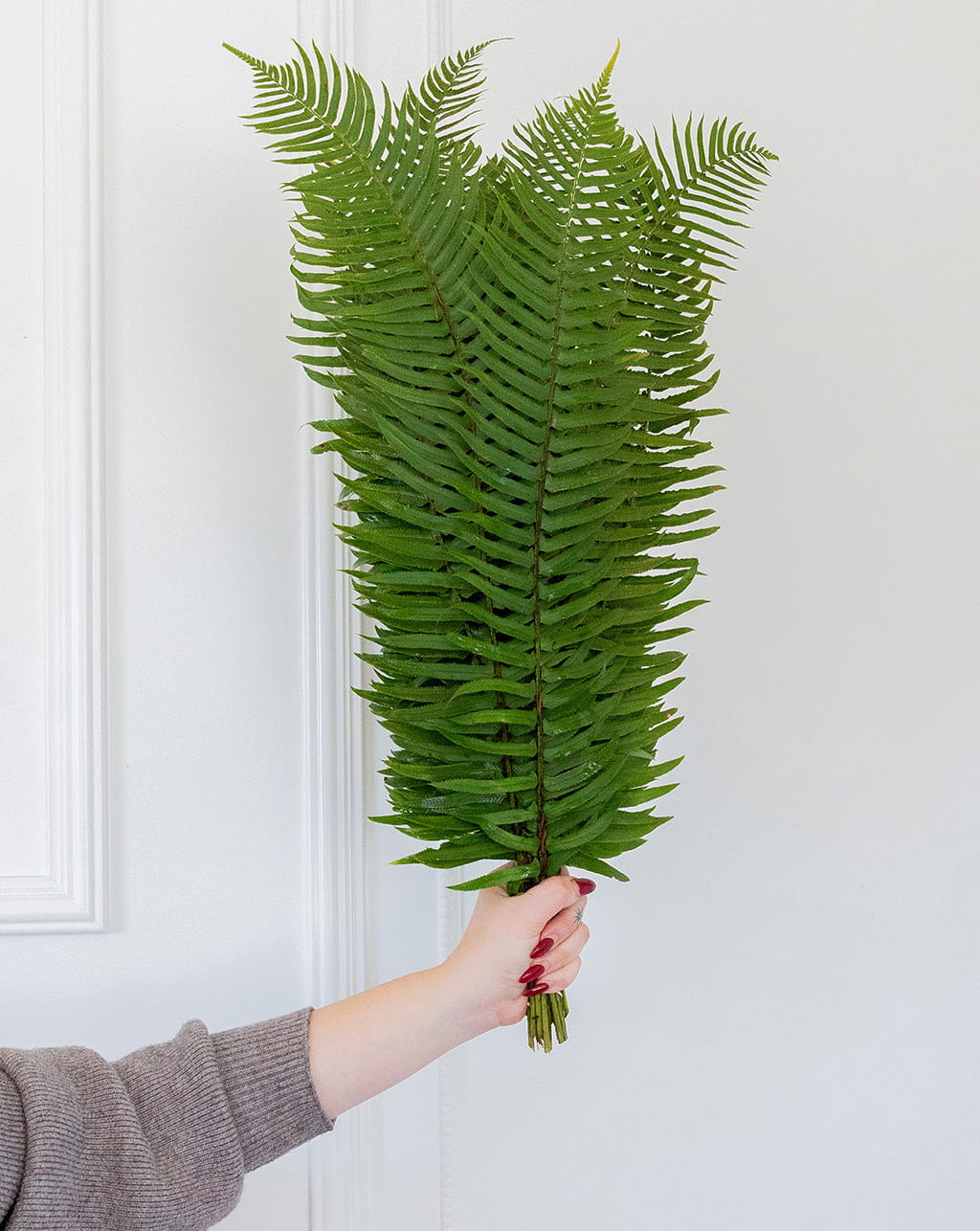 Flat fern wholesale greenery bunches 20 to 24 inch stems for floral arrangements greenery backdrops and event decor