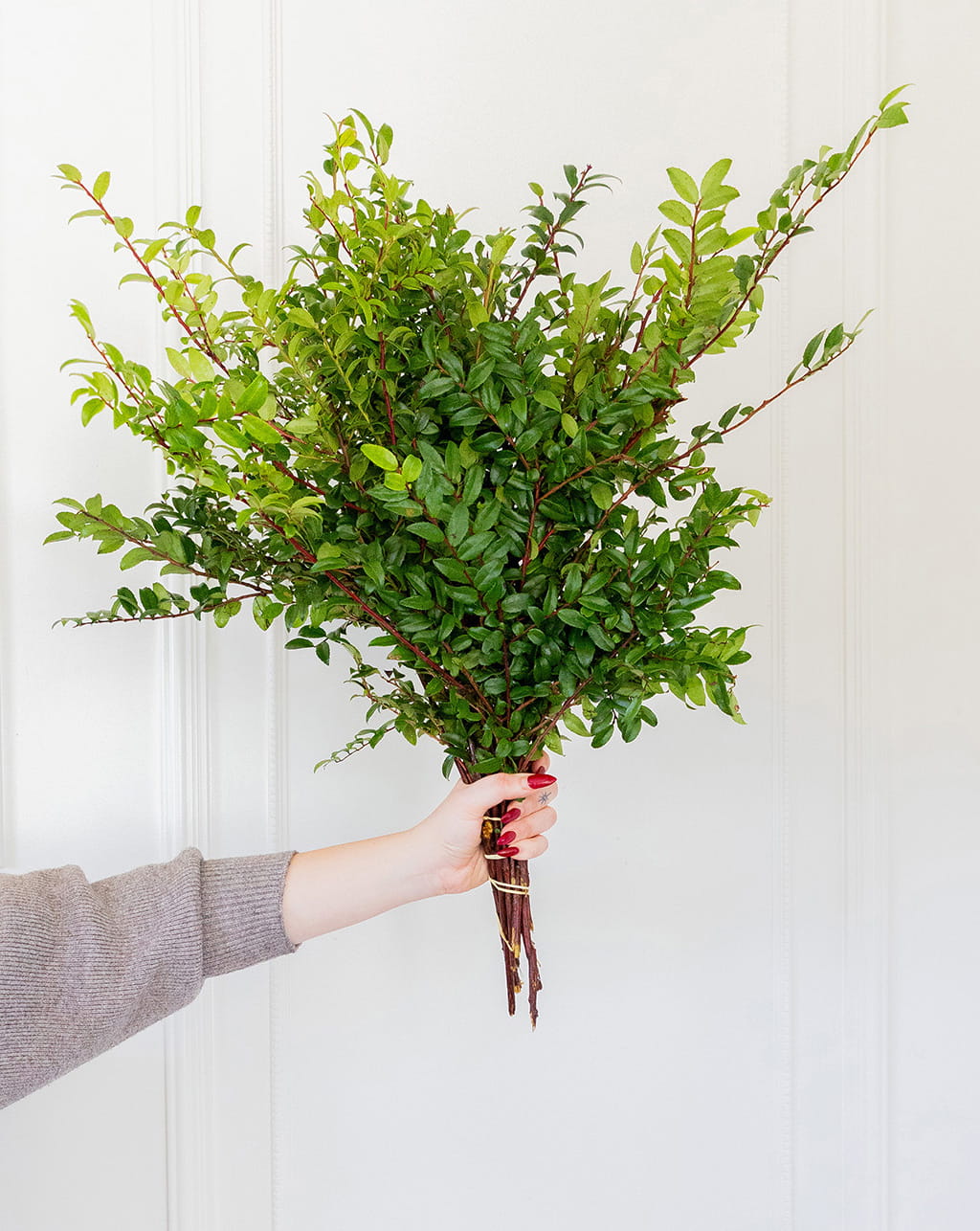 Green huckleberry wholesale greenery bunches 24 to 27 inch stems for floral arrangements wedding decor and bouquet fillers