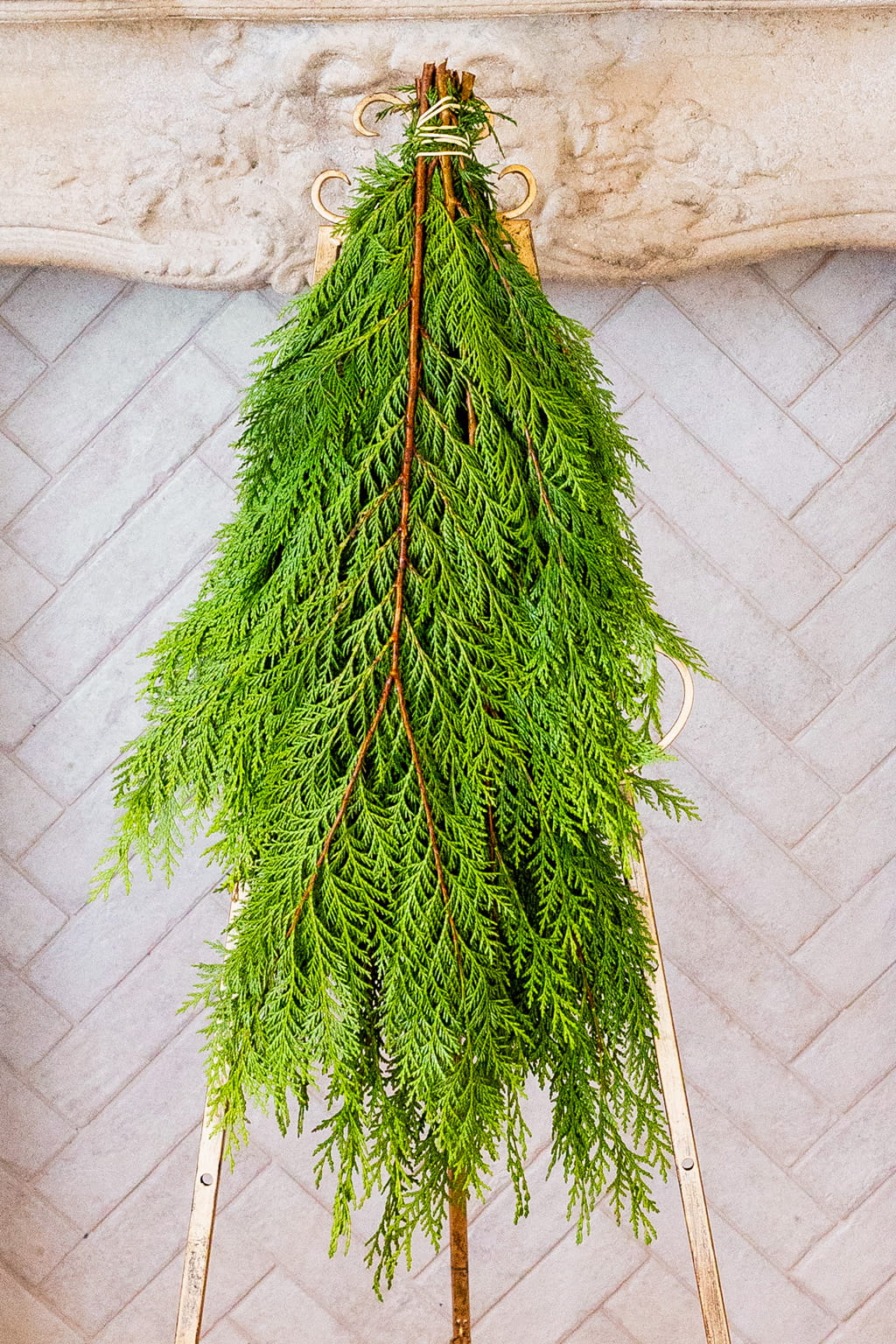 Port Orford cedar wholesale greenery bulk 25 lb cases bales and bunches for Christmas decor wreath making and floral arrangements