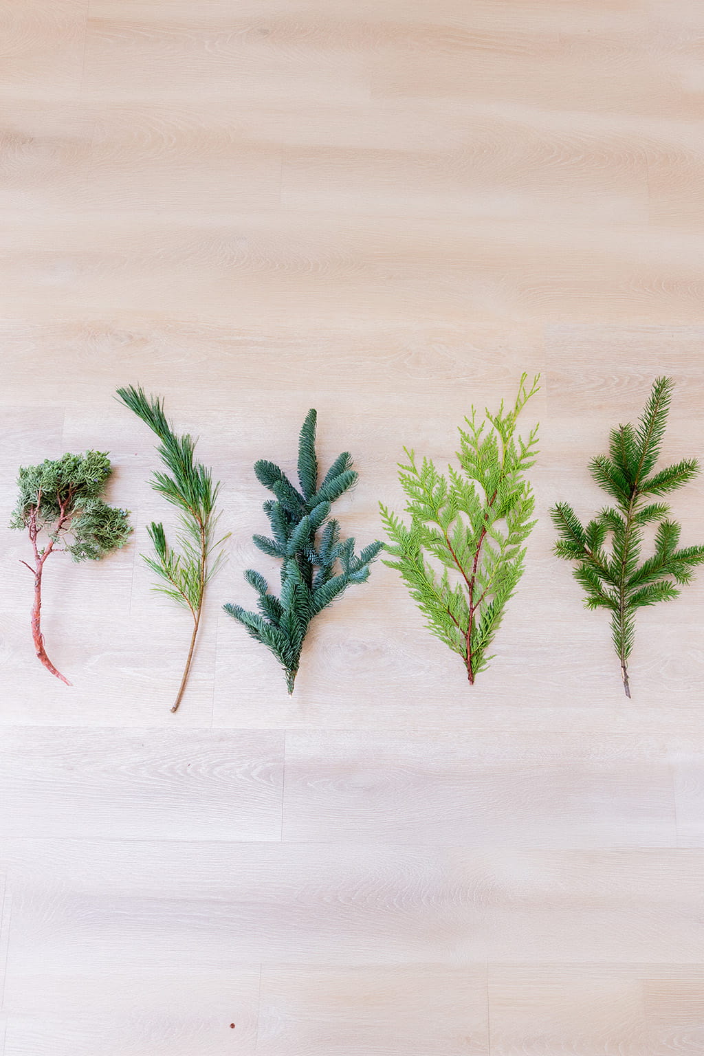 Premium mix greens wholesale greenery assortment Douglas Fir Noble Fir Princess Pine Western Red Cedar and Juniper for wreath making and Christmas decor