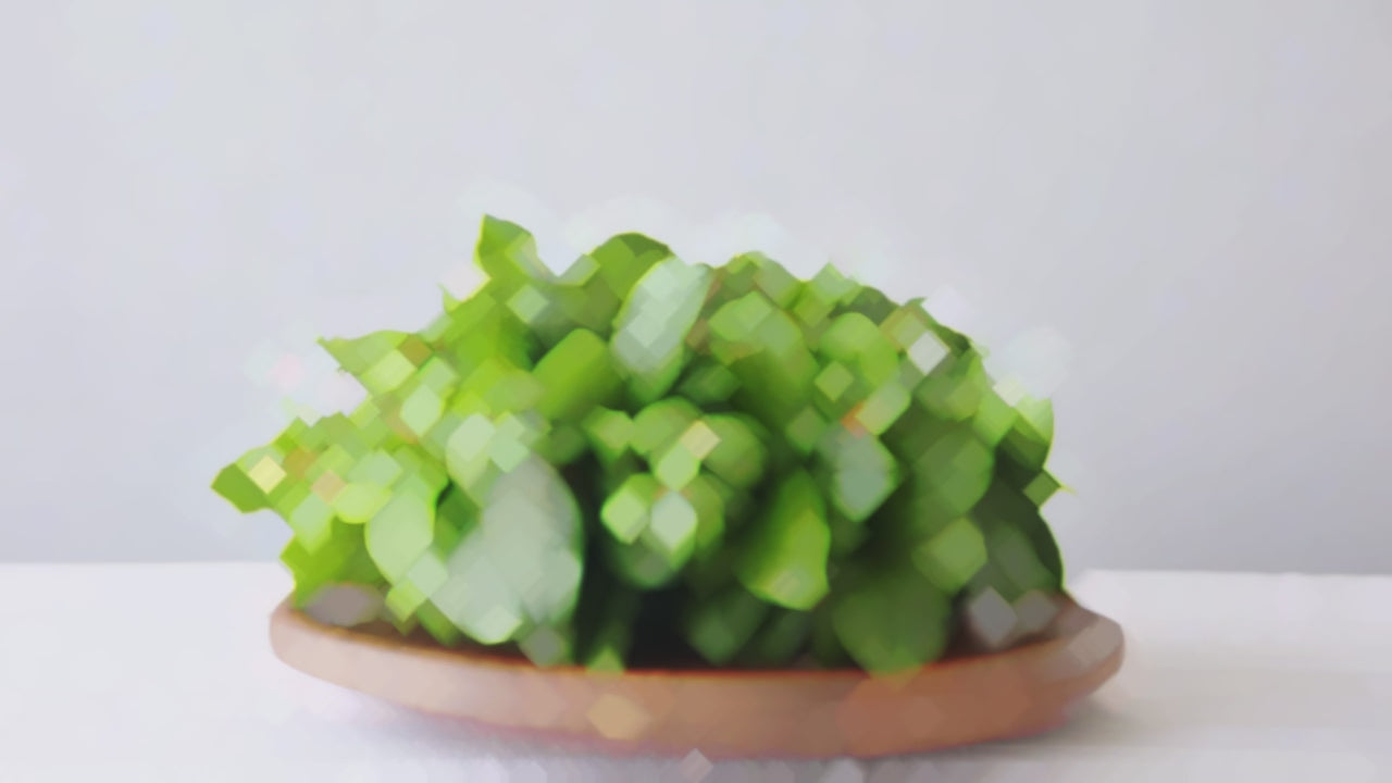 Load video: Wildgreens_Corporate_Video