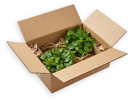 Shipping supplies and packaging materials used for wholesale greenery including boxes crates and totes