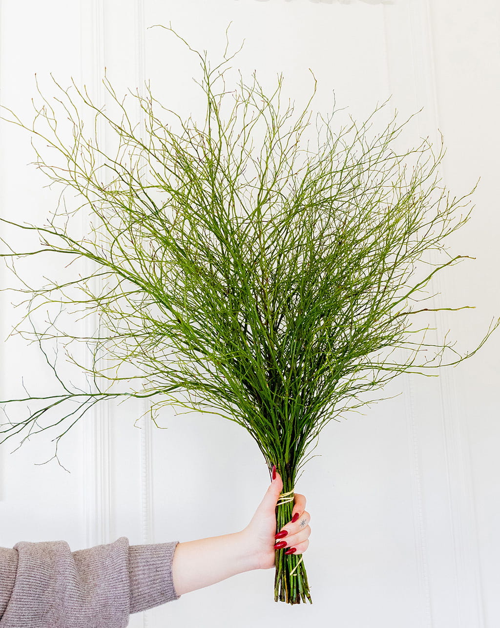 Sweet huck wholesale greenery bunches 24 to 27 inch stems for floral arrangements wedding decor and bouquet fillers
