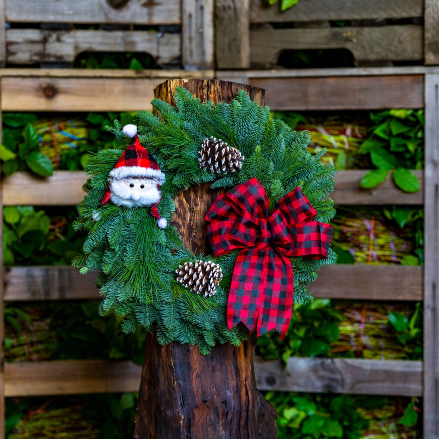 Holiday Whimsy