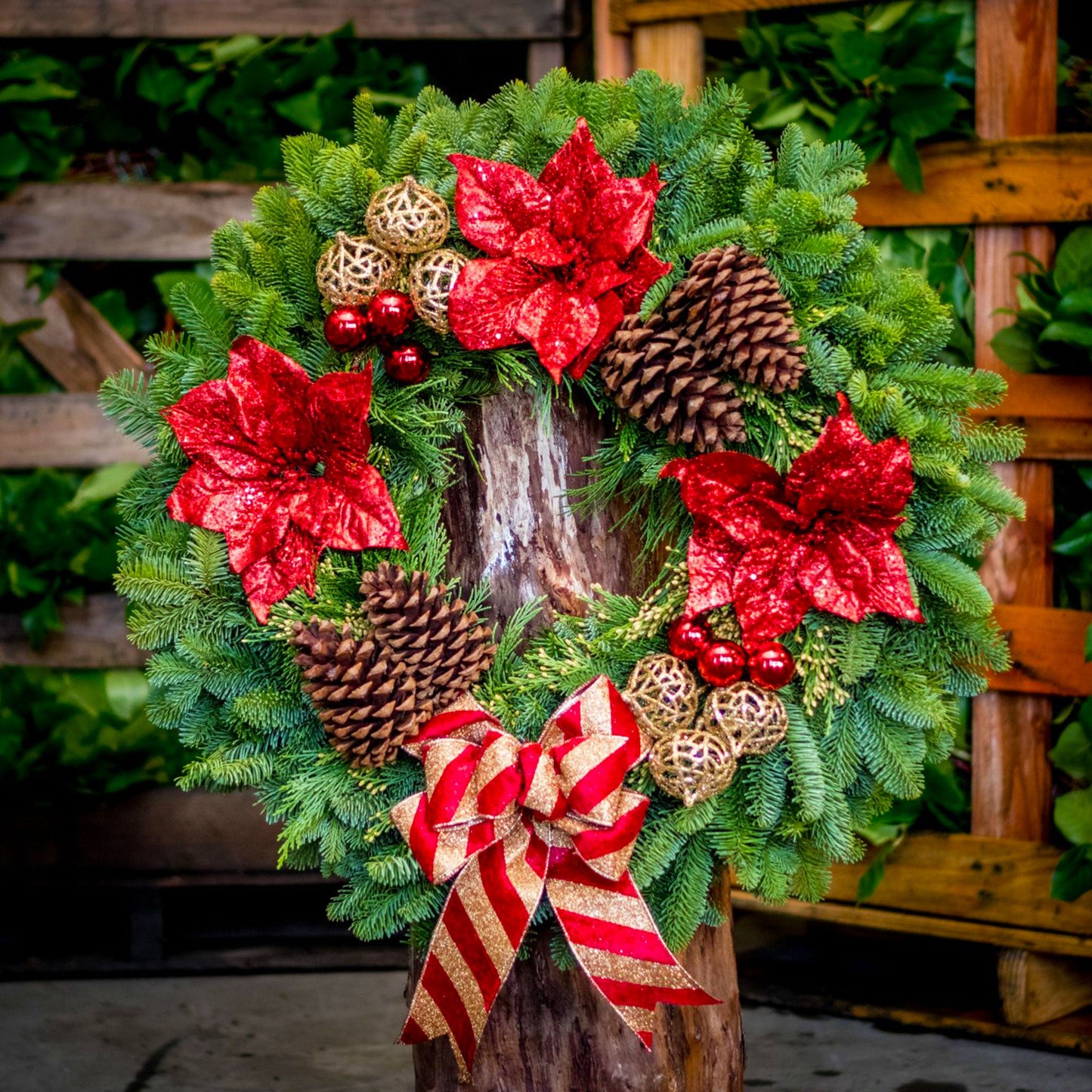 Noche Buena Wreath