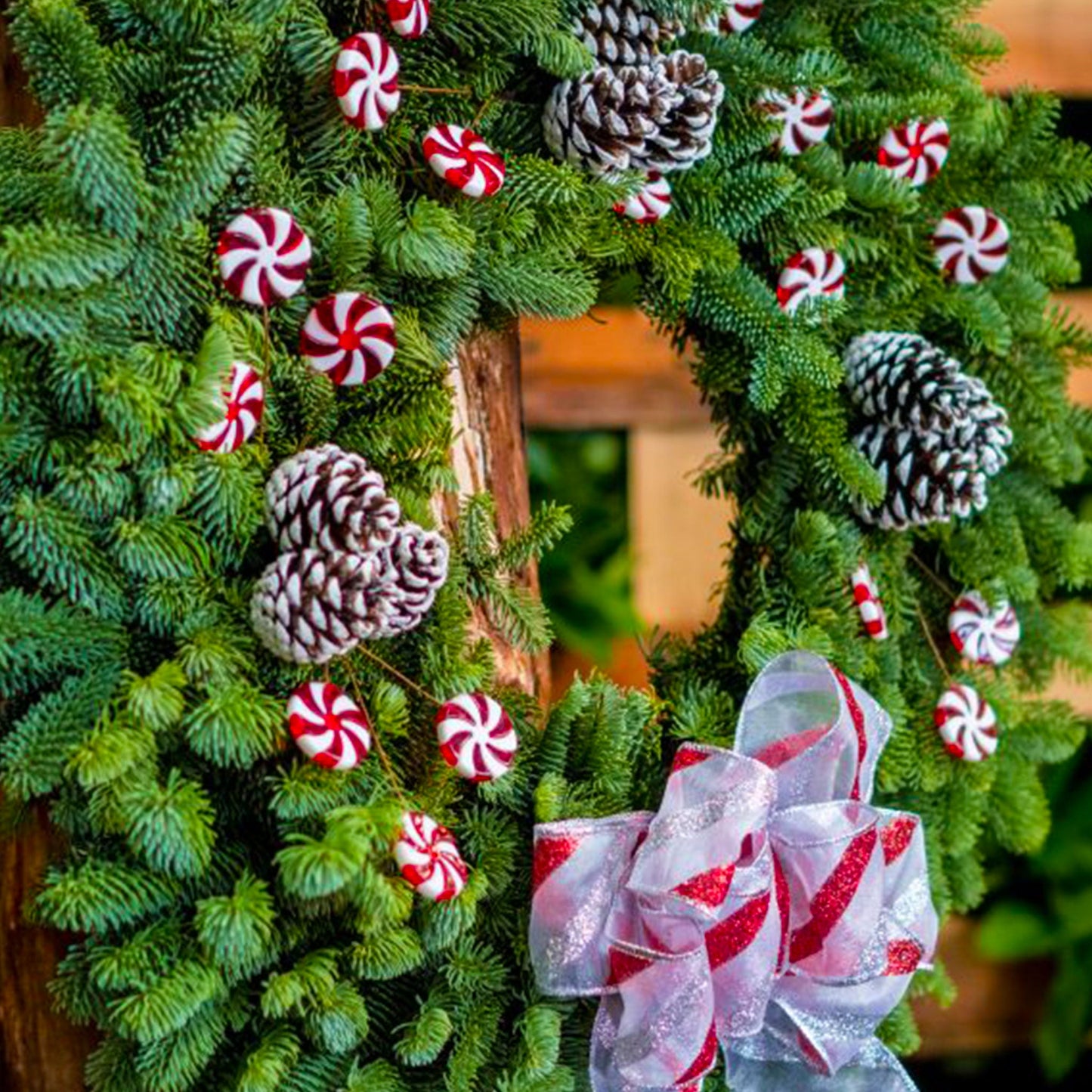 Peppermint Candy